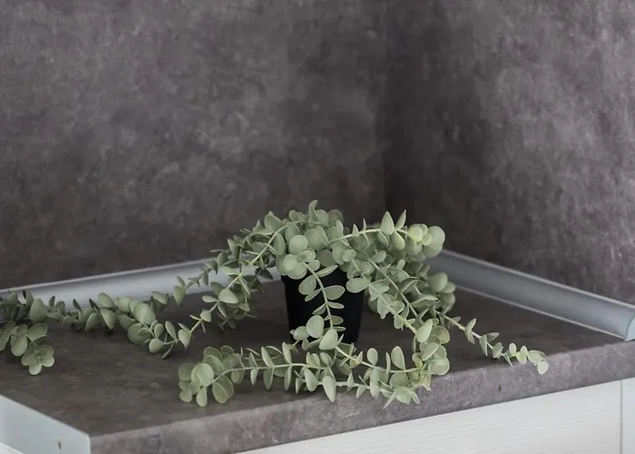 Lobster Chic By Binobi! * Tesalónica